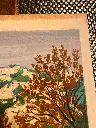 IMG_9091.webp