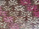 IMG_1925.webp