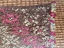 IMG_1922.webp