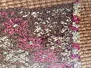 IMG_1923.webp