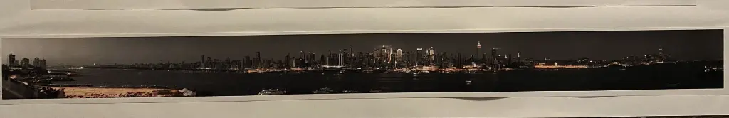 Pano new york.webp
